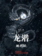龙潜:规则30在线阅读
