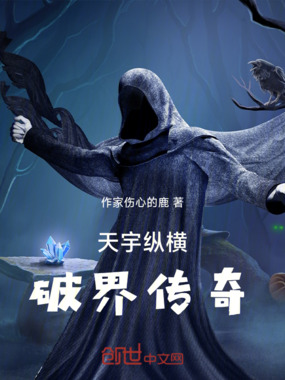 天宇纵横：破界传奇在线阅读