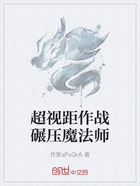 超视距作战碾压魔法师在线阅读