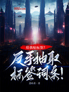 给我贴标签?反手抽取标签词条!在线阅读
