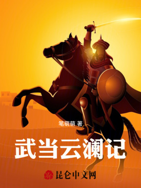 武当云澜记在线阅读