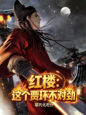 红楼：这个贾环不对劲在线阅读