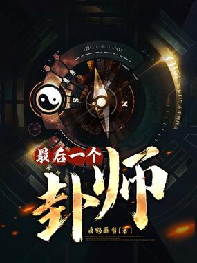 最后一个卦师在线阅读