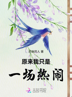 原来我只是一场热闹在线阅读