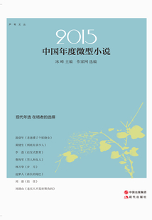 2015中国年度微型小说