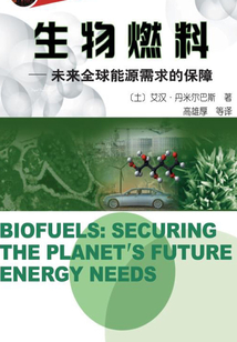 生物燃料:未來(lái)全球能源需求的保障
