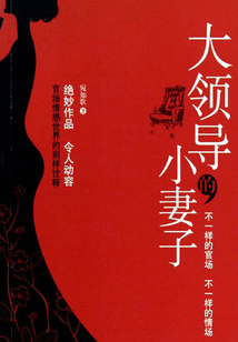 大領(lǐng)導(dǎo)的小妻子