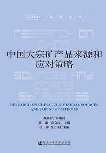 中国大宗矿产品来源和应对策略