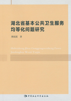 湖北省基本公共卫生服务均等化问题研究