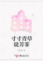 寸寸青草徒芳菲在线阅读