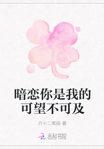 暗戀你是我的可望不可及