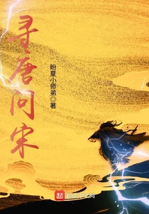 寻唐问宋
