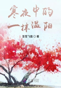 寒夜中的一抹温阳