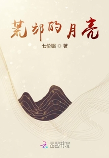 荒郊的月亮