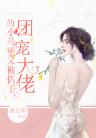 团宠大佬的小马甲又被扒了在线阅读