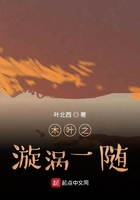 木叶之漩涡一随在线阅读