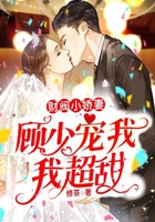 财阀小娇妻:顾少宠我,我超甜!