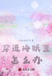 穿進海賊王怎么辦