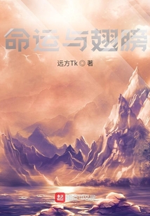 命運與翅膀