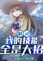 精灵,我的技能全是大招