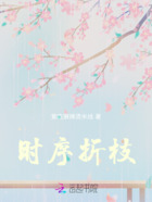 时序折枝在线阅读