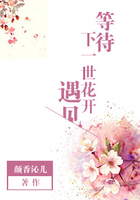 等待下一世花開遇見在線閱讀