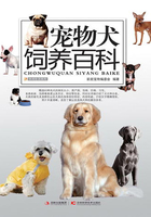 宠物犬饲养百科在线阅读