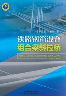 鐵路鋼箱混合組合梁斜拉橋