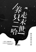 養只二哈走末世在線閱讀