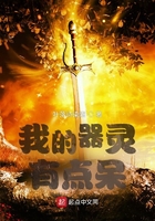我的器靈有點呆在線閱讀