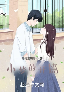 The Beginning of a Little Dream