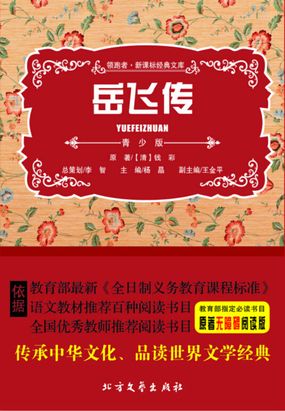 岳飞传在线阅读