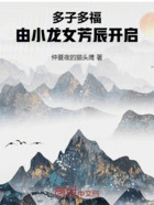 多子多福，由小龙女芳辰开启在线阅读