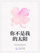 你不是我的太阳在线阅读