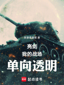 亮剑：我的战场单向透明在线阅读
