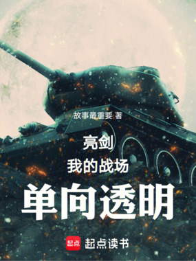 亮剑：我的战场单向透明在线阅读