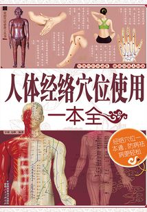 人體經絡穴位使用一本全