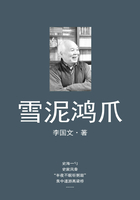 雪泥鴻爪在線閱讀