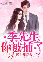 季先生你被捕了在線閱讀