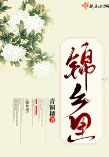 锦乡里 封面