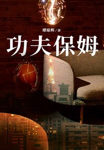 功夫保姆