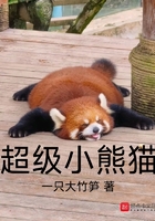 超级小熊猫在线阅读