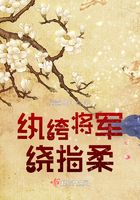 纨绔将军绕指柔