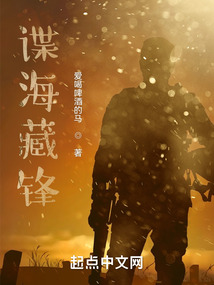 諜海藏鋒