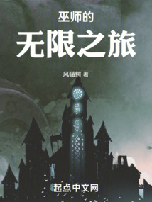 巫师的无限之旅 cover
