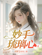 妙手琉璃心在線閱讀