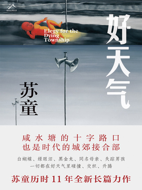 好天气（茅盾文学奖得主苏童《黄雀记》后历时11年长篇新作）在线阅读