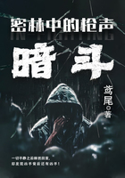密林中的槍聲：暗斗在線閱讀