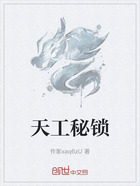 天工秘锁在线阅读