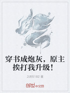 穿书成炮灰,原主挨打我升级!在线阅读